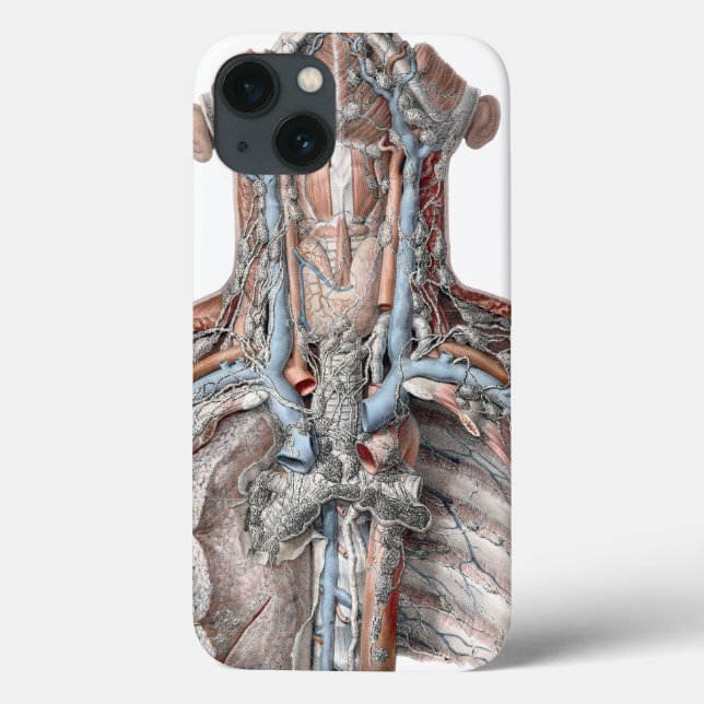 Vintage Anatomie des Menschen Case-Mate iPhone Hülle (Rückseite)