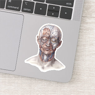 Vintage Anatomie des Menschen, Kopf-Throat-Nase Aufkleber