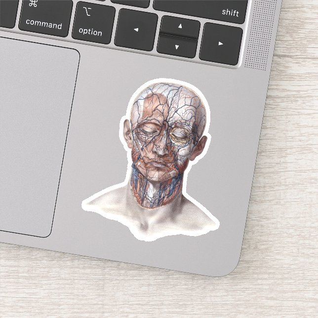 Vintage Anatomie des Menschen, Kopf-Throat-Nase Aufkleber (Detail)