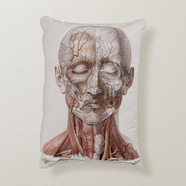 Vintage Anatomie des Menschen, Kopf-Throat-Nase Dekokissen (Rückseite(Vertikal))