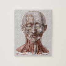 Vintage Anatomie des Menschen, Kopf-Throat-Nase