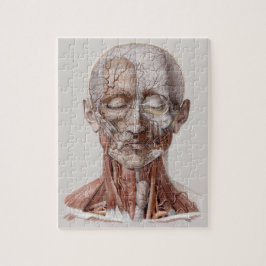 Vintage Anatomie des Menschen, Kopf-Throat-Nase Puzzle