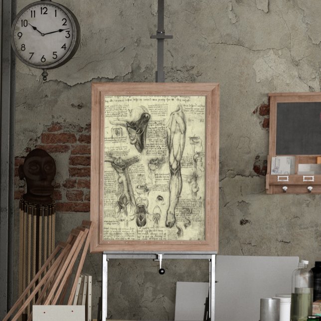 Vintage Anatomie des Menschen Larynx Leg Leonardo  Poster (Von Creator hochgeladen)