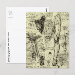 Vintage Anatomie des Menschen Larynx Leg Leonardo  Postkarte