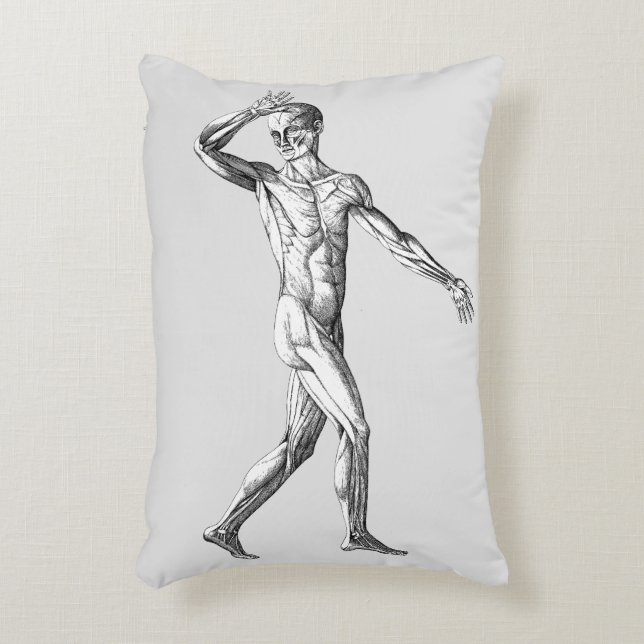 Vintage Anatomie des Menschen, Muskelmuskeln Dekokissen (Vorderseite(Vertikal))