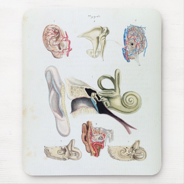 Vintage Anatomie des menschlichen Ohrs Mousepad (Vorne)
