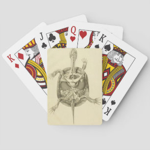 Vintage Anatomie einer Schildkröte Spielkarten