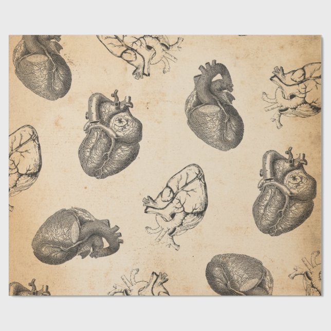 Vintage Anatomie  Geschenkpapier (Flach)