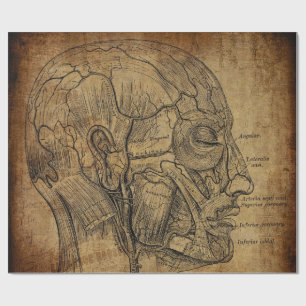 Vintage Anatomie Geschenkpapier