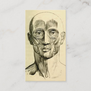 Vintage Anatomie Gesichtsmuskulatur (circa 1852) Visitenkarte