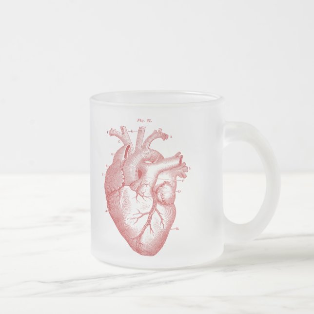 Vintage-Anatomie-Herz-Matte Glas-Tasse Mattglastasse (Rechts)