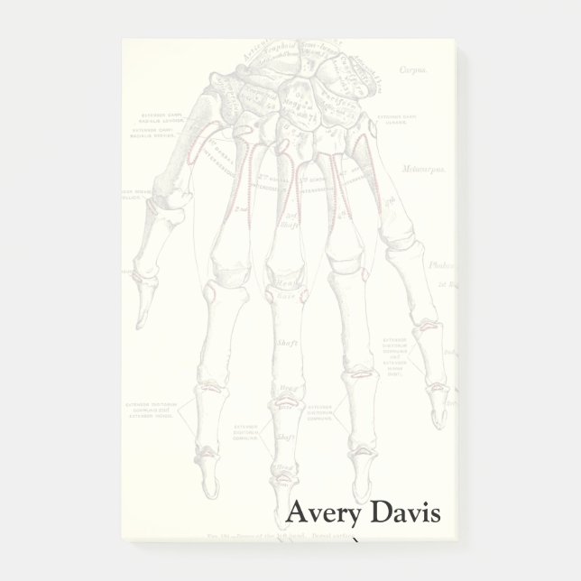 Vintage Anatomie | Knochen der Hand Post-it Klebezettel (Vorderseite)