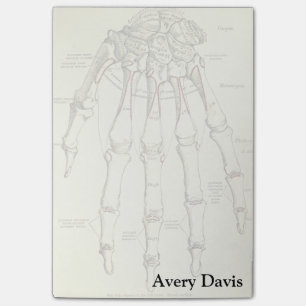 Vintage Anatomie   Knochen der Hand Post-it Klebezettel