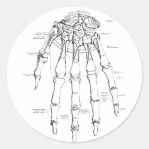 Vintage Anatomie Knochen der Hand Runder Aufkleber