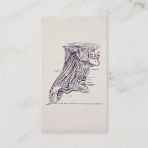 Vintage Anatomie-Kunst Halsmuskel altes Papier Visitenkarte