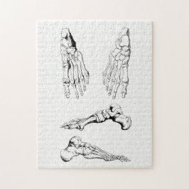 Vintage Anatomie-Kunst-Knochen des Fußes Puzzle