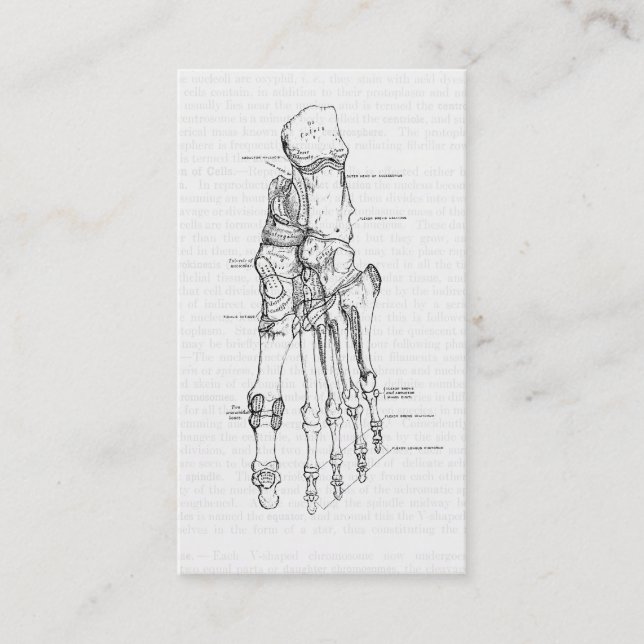 Vintage Anatomie-Kunst-Knochen des Fußes Visitenkarte (Vorderseite)