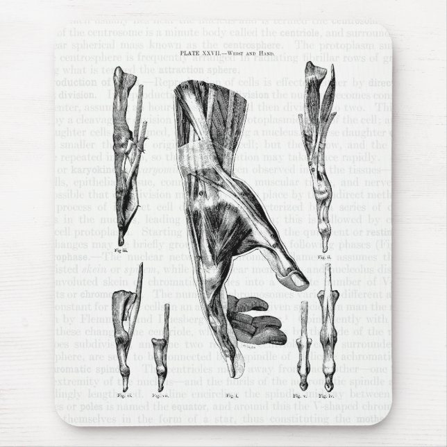 Vintage Anatomie Kunstmuskeln aus Handgelenk und H Mousepad (Vorne)