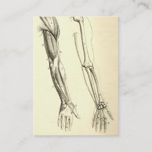 Vintage Anatomie Muskeln und Knochen des Arms Visitenkarte