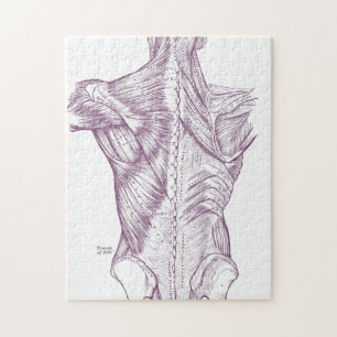Vintage Anatomie, welche die Rückenmuskel lila Puzzle