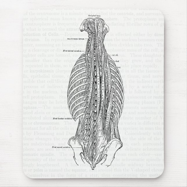 Vintage Anatomie, welche die Rückseite zeichnet Mousepad (Vorne)