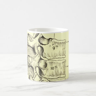 Vintage Anatomie Wirbel Tasse