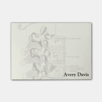Vintage Anatomie| Wirbelsäule