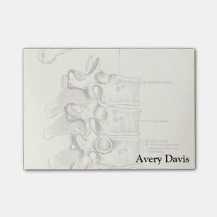 Vintage Anatomie  Wirbelsäule Post-it Klebezettel