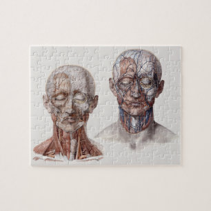 Vintage Anatomie Wissenschaft Köpfe Puzzle