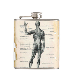 Vintage Anatomie Zeichnend Flachmann