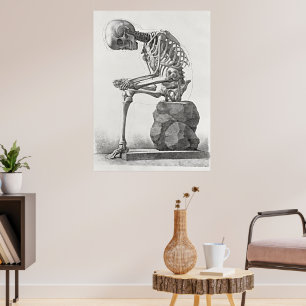 Vintage Anatomieposter Skelett Poster