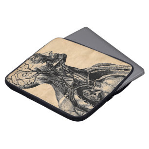 Vintage anatomische Abbildung des Oberkörpers Laptopschutzhülle