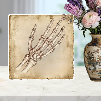 Vintage anatomische Handknochen-Tuschezeichnung Se Fliese