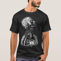 Vintage anatomische Illustration des oberen