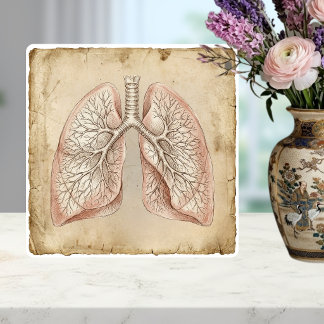 Vintage Anatomische Lungen-Illustrationsskizze Fliese