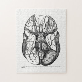 Vintage Anatomy Art Arteries of the Human Brain Puzzle