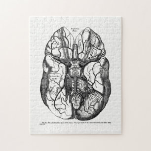 Vintage Anatomy Art Arteries of the Human Brain Puzzle