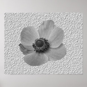 Vintage-Anemone-Blumenprint Poster