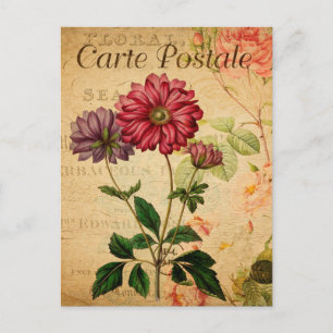 Vintage Anemone Japonica Florale Blumen Französisc Postkarte