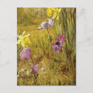 Vintage Anemone und Affodils Henry Newman Postkarte