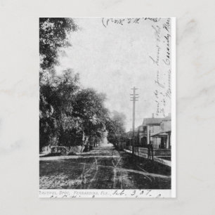 Vintage-Ansichtskarte von Fernandina Beach, Florid Postkarte