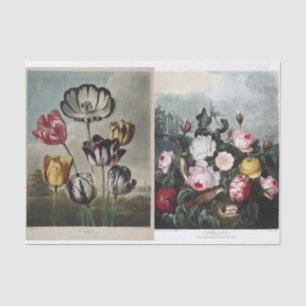 Vintage Antik Künstler Blumen Art Collage Seidenpapier