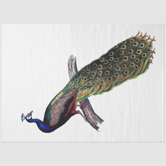 Vintage antike Pfauendecke Seidenpapier (Vorderseite)