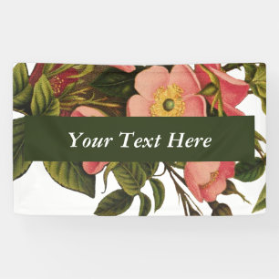 Vintage antike Rose Zeichnend Elegante Banner