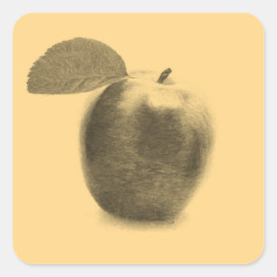 Vintage-Apfel-Fruchtgemälde Kunst - Aufkleber
