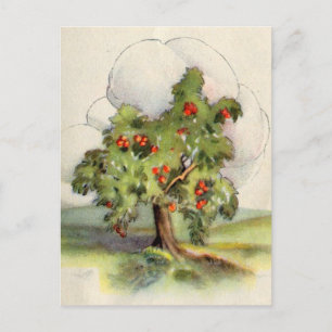Vintage Apfelbaum Postkarte