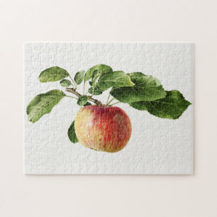 Vintage Apfelfrucht Aquarellmalerei Puzzle