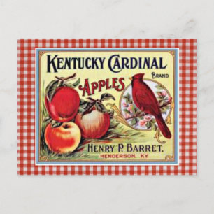 Vintage Apple-Werbekarte Postkarte