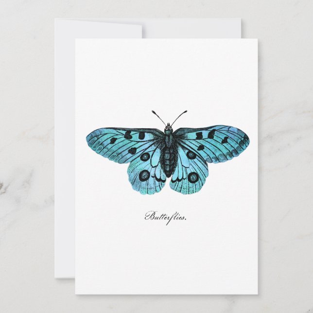 Vintage Aquamarine Blauer Schmetterling-Illustrati (Vorderseite)