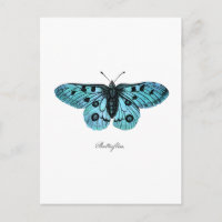Vintage Aquamarine Blauer Schmetterling-Illustrati
